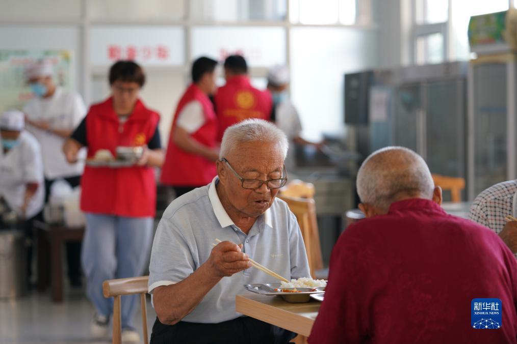 菠菜大全最新
